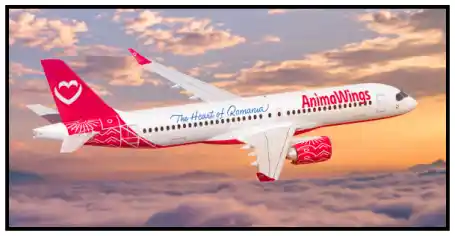 AnimaWings anunță noi rute din Cluj, Iași și Timișoara 2026